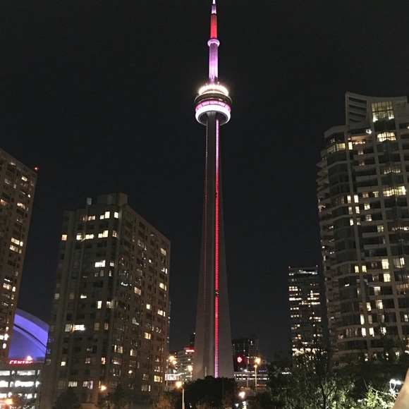 Meet your Posher, Cici - Picture 2 of 8